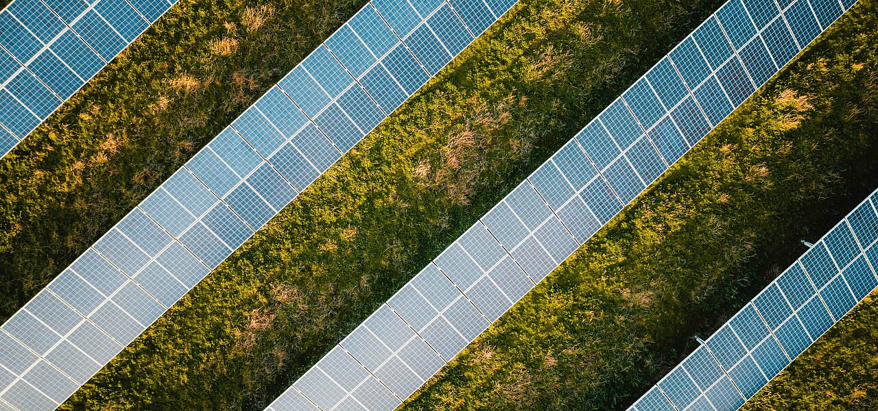 Photovoltaikmodule in Reihen auf einer Wiese