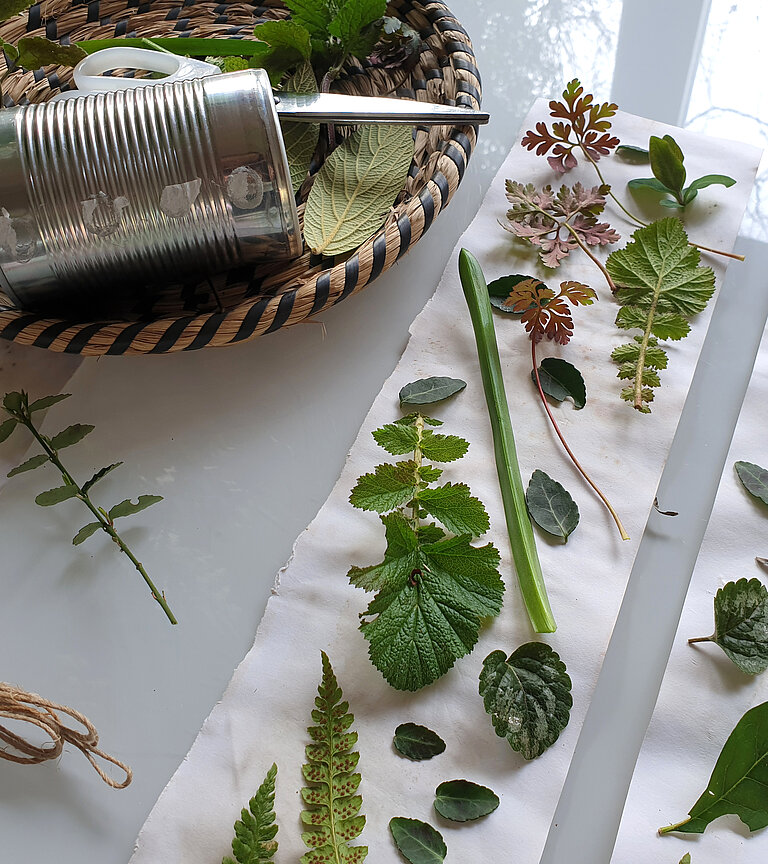 Pflanzen und Blätter für einen DIY Kräutertopf