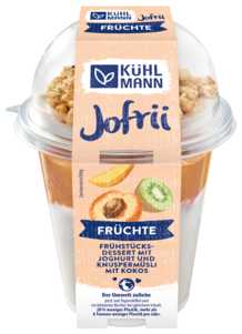 Cremiger Joghurt mit Früchten, 285 g