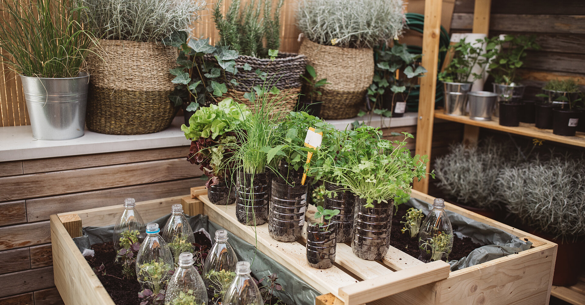 Recycelte Plastikflaschen im heimischen Garten