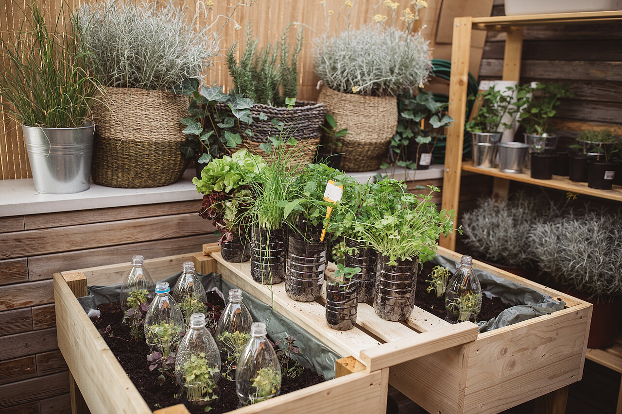 Recycled Plastic Bottles in the Home Garden