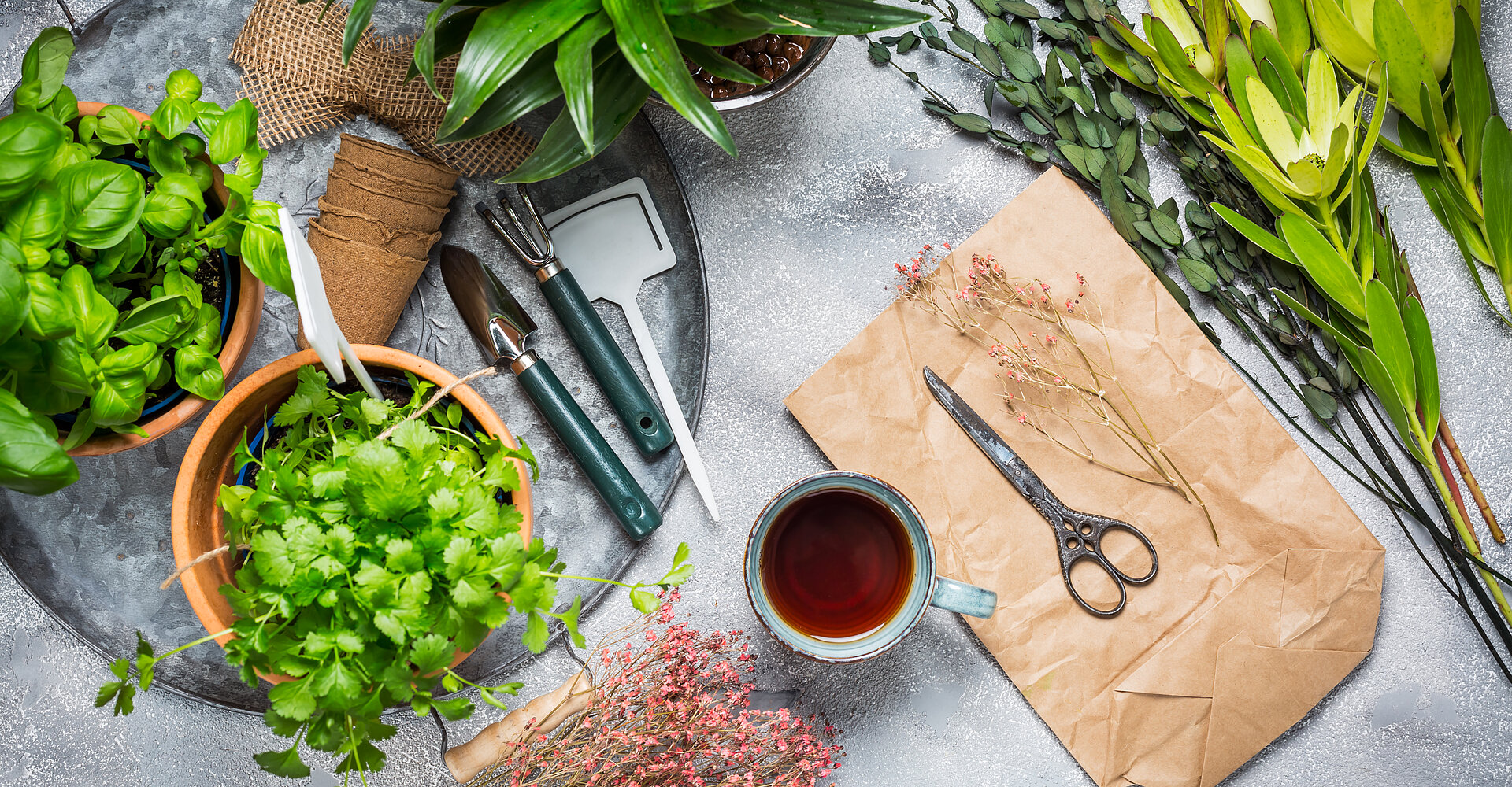 Planen Sie Ihren Kräutergarten, Ihre Terrasse und die Neubepflanzung von Kräutern und Zimmerpflanzen