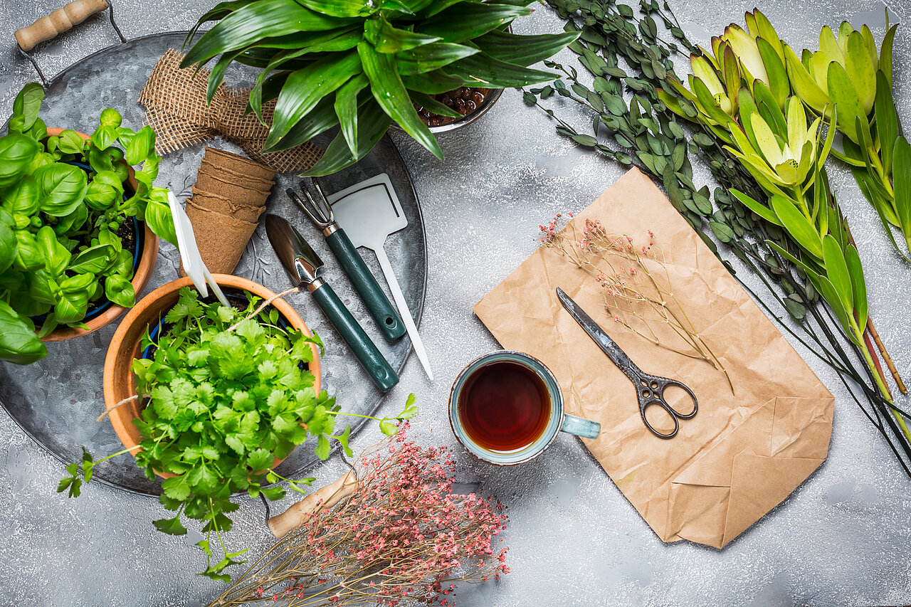DIY Materials for Making a Herb Pot